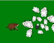Pacman - Sheep Herd