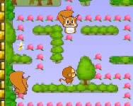 Monkey Pacman játék